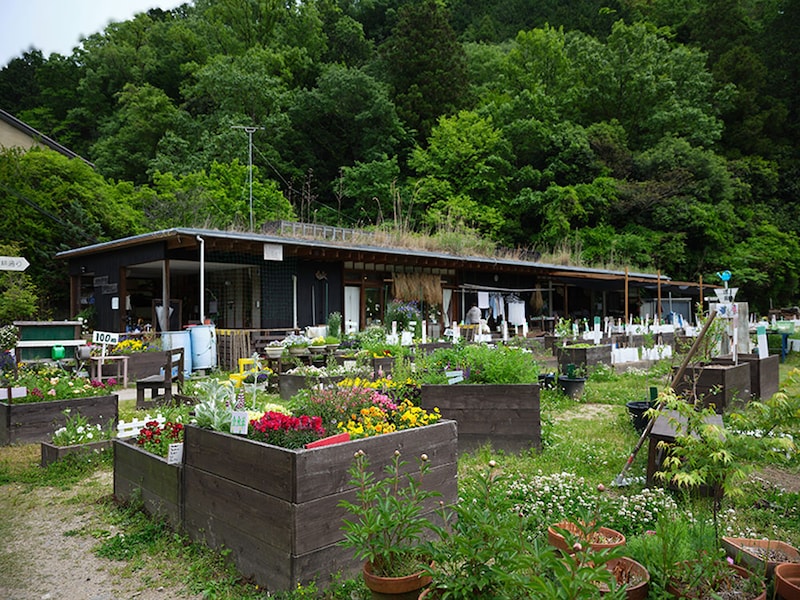 自然に囲まれたデイサービスセンター晴耕雨読舎は、園芸療法に最適の場所。育てた花や付近から施設に訪れた生き物をスタッフが写真に収め、屋内の掲示板に飾っています。