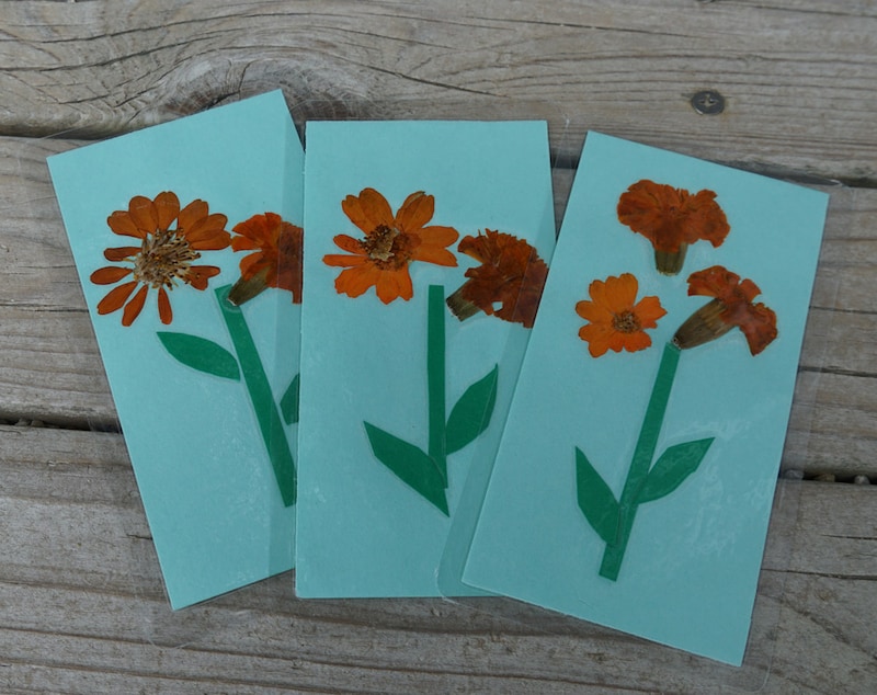 利用者からは、9月に寄せ植えで使った花を押し花しおりにしてプレゼントしました。