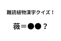 「薇」ってなんて読む？ 正解できたらすごい難読植物名漢字クイズ【Let’s Try! 植物クイズ】Vol.34