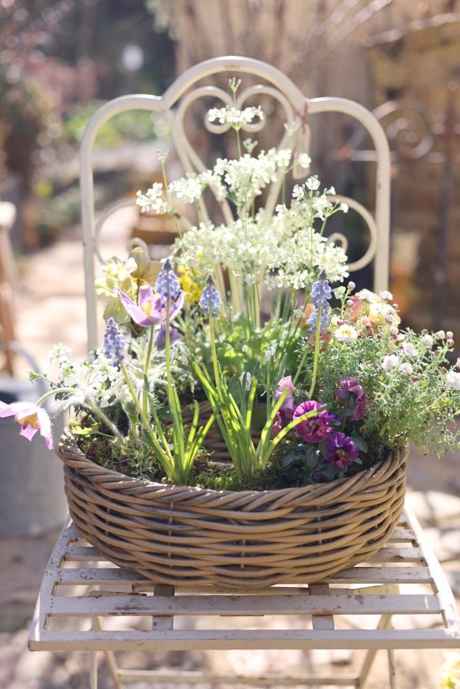 春のリース寄せ植え