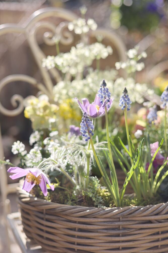 春のリース寄せ植え