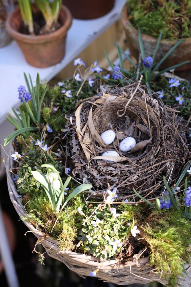 春のリース寄せ植え