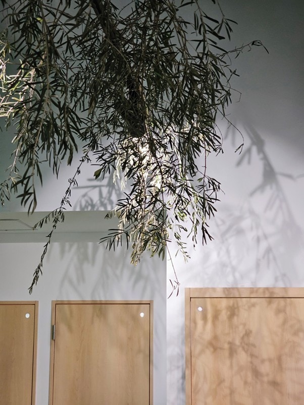 ドライフラワー