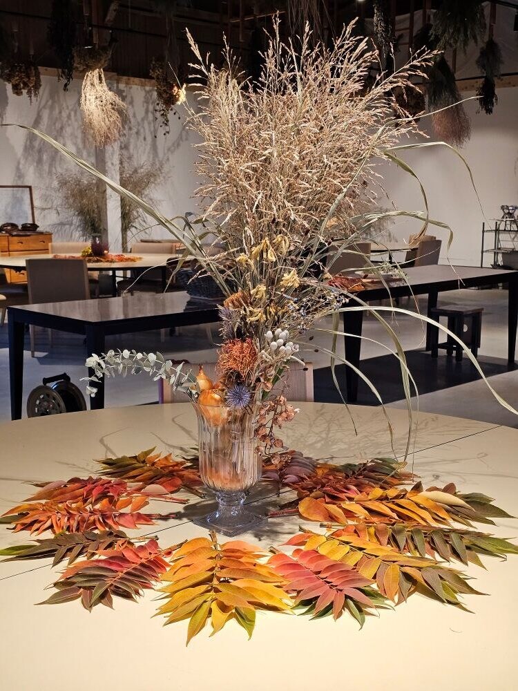 セイバンモロコシ