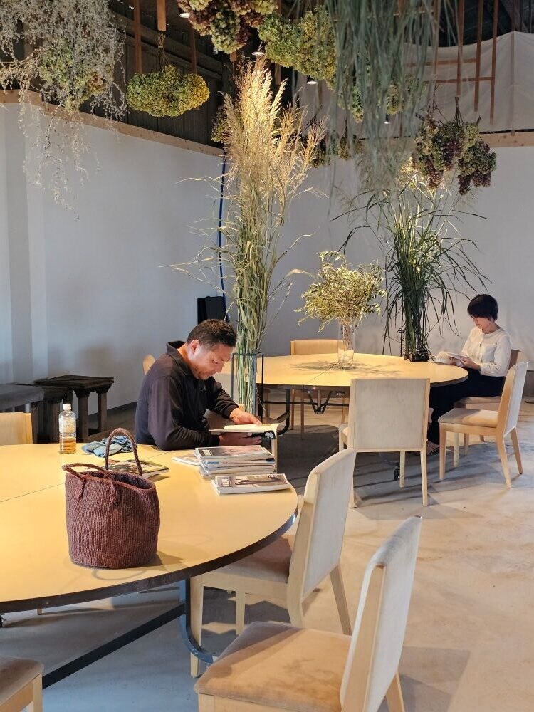 セイバンモロコシのドライ