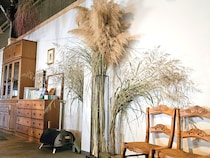 植物を枯らしてしまう人へ。育てない庭という選択｜ドライフラワーで作る“時間を閉じ込めた”インドアガーデン