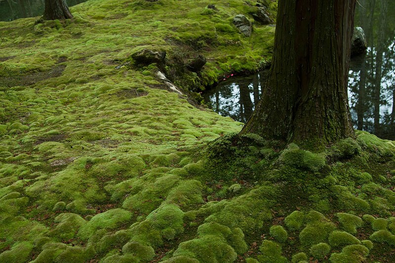 西芳寺庭園(京都)