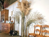 植物を枯らしてしまう人へ。育てない庭という選択｜ドライフラワーで作る“時間を閉じ込めた”インドアガーデン