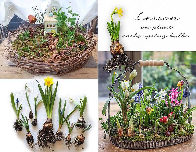 【残数わずか】今つくって、春がもう咲く。 芽出し球根16球で楽しむ人気オンラインレッスン「球根の籠森」　アーカイブ版を限定数発売