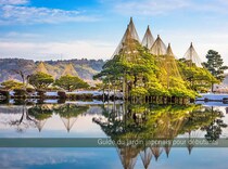 なぜ日本庭園は「常緑樹」が多いのか？ 世界が憧れる日本の庭木文化と美意識