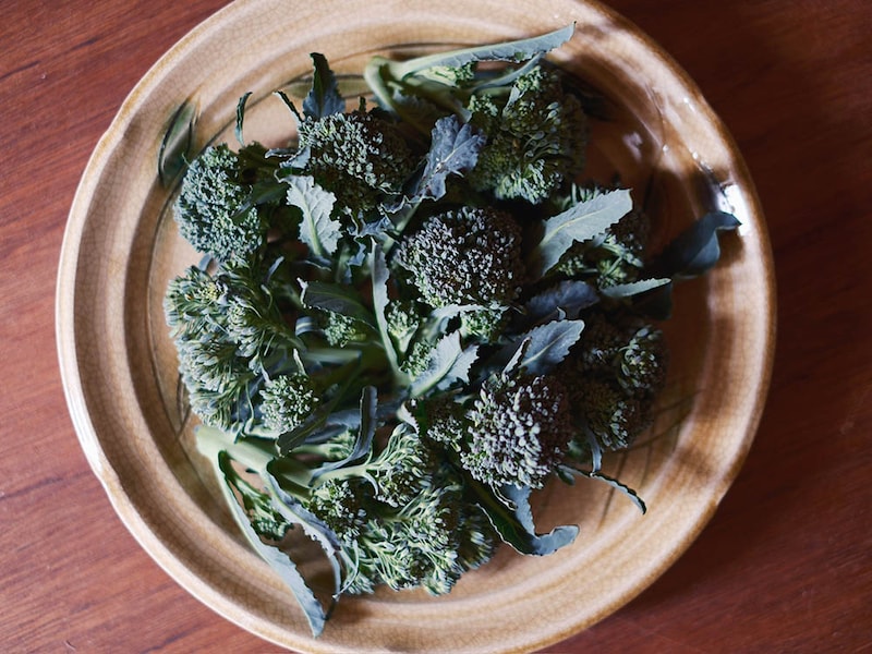 茎ブロッコリー「アレッタ」