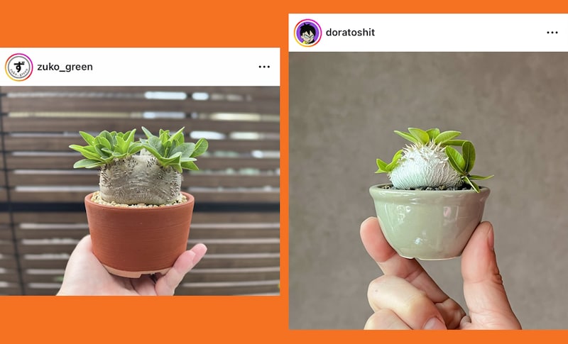 恵比寿笑いのInstagram投稿2