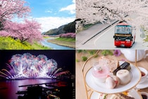 【3月〜4月】2026年伊豆で春イベント続々！ 桜オープンバス、夜桜、花火大会も