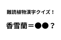「香雪蘭」ってなんて読む？ 正解できたらすごい難読植物名漢字クイズ【Let’s Try! 植物クイズ】Vol.37