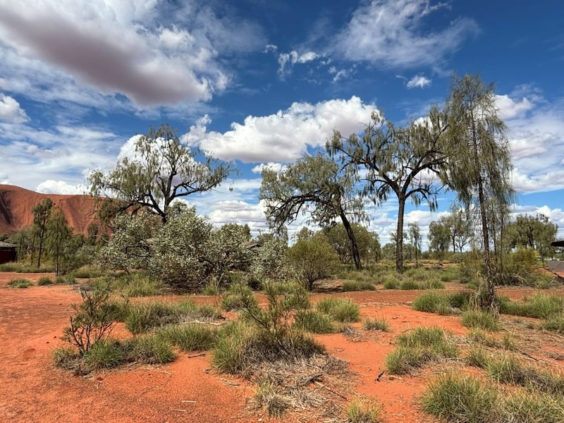 オーストラリア