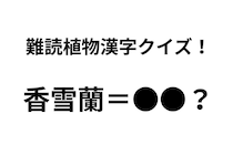 「香雪蘭」ってなんて読む？ 正解できたらすごい難読植物名漢字クイズ【Let’s Try! 植物クイズ】Vol.37