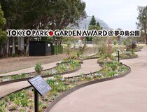 都立公園を新たな花の魅力で彩る画期的コンテスト「第4回 東京パークガーデンアワード」夢の島公園【3月開花スタート】