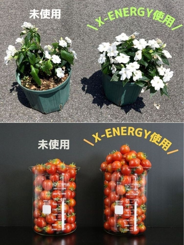 X-ENERGY比較実験