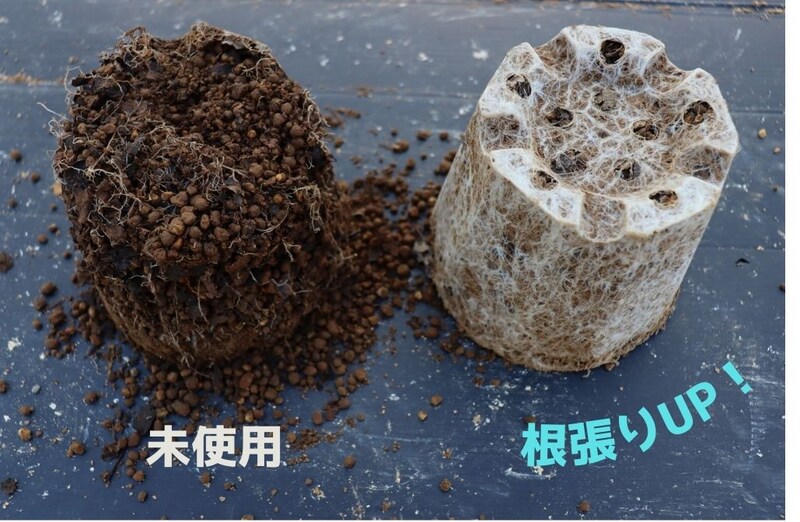 X-ENERGY使用実例