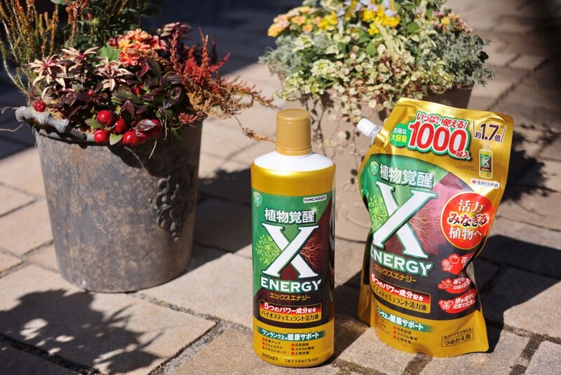 「X-ENERGY」(水で薄めるタイプ)