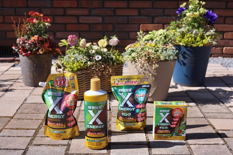 X-ENERGYシリーズ