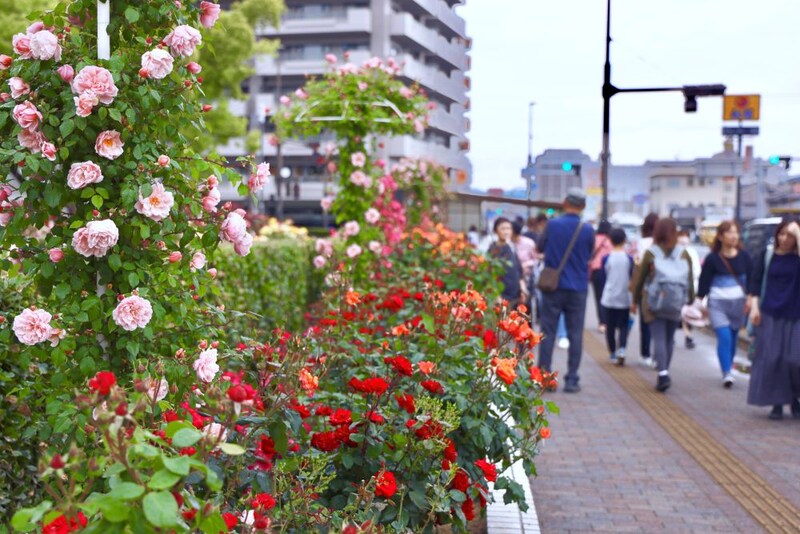 ばらのまち福山