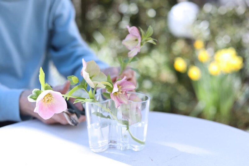 クリスマスローズのアレンジ