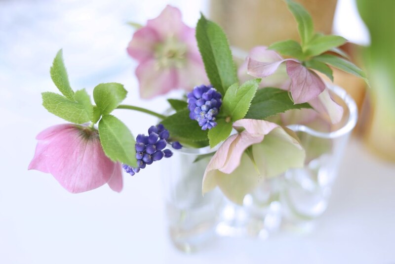 クリスマスローズのアレンジ