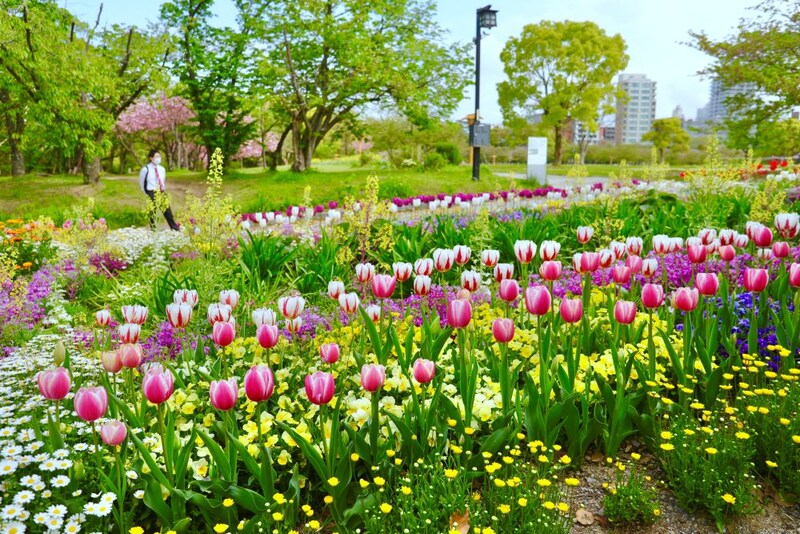福岡の公園