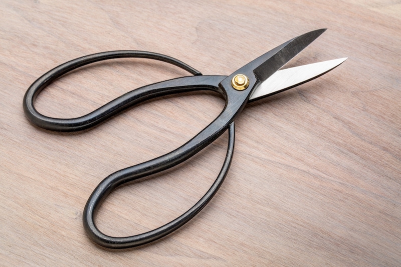 marekuliasz/Shutterstock.com