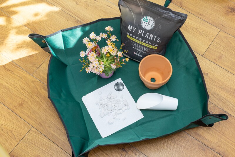 植え替えグッズ一式