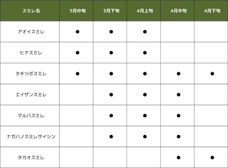 高尾山のスミレ 開花の目安カレンダー