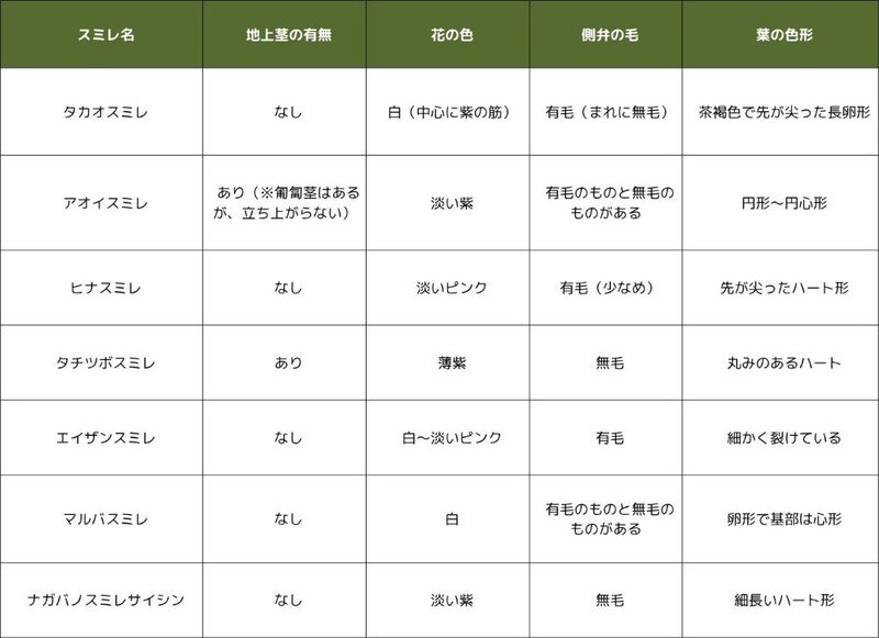 スミレ簡易見分け表