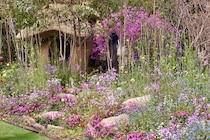 Fukuoka Flower Show 2026がすごかった！ 最優秀賞の庭、話題の花、映える演出まで総まとめ