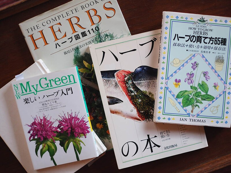ハーブ