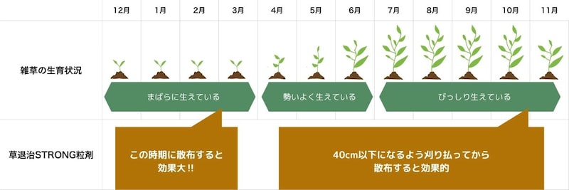 草退治STRONG粒タイプ