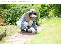 【決定版】春の1回の散布で最長1年間「草むしり」から解放される！ 草退治史上※最強除草剤で叶える“タイパ抜群”雑草知らずの庭管理