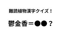 「鬱金香」ってどんな花？ 正解できたらすごい難読植物名漢字クイズ