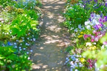 春の庭がぐっと美しくなる理由　白い花木と草花をつなぐ木漏れ日の力