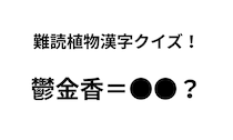 「鬱金香」ってどんな花？ 正解できたらすごい難読植物名漢字クイズ
