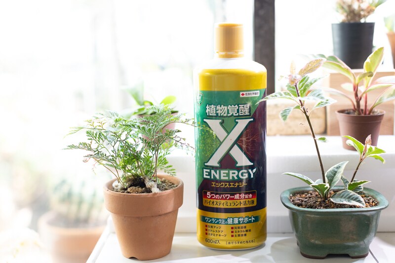 ENERGY X