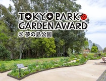 春光うららか！「第4回東京パークガーデンアワード夢の島公園」の『ショーアップ審査』を迎えた5人の庭と審査の様子をご紹介