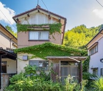 実家や空き家、生え放題の雑草は“不在のサイン”に？ 空き家管理で見落とせない防犯対策
