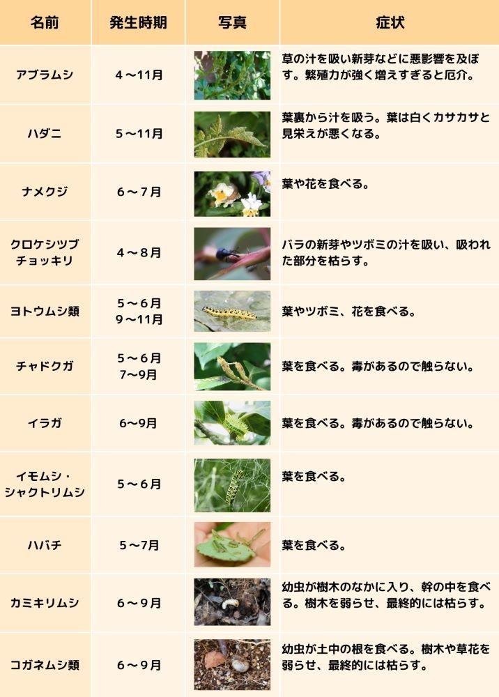 害虫発生スケジュール