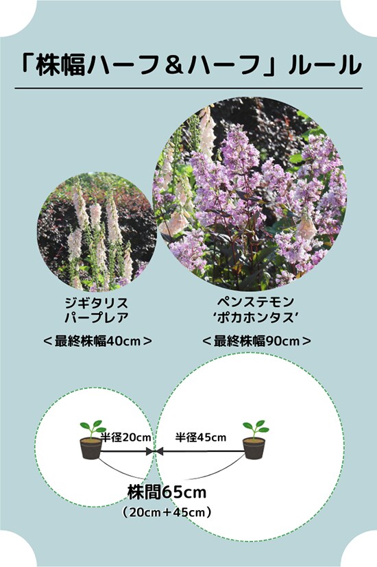 株間のルール