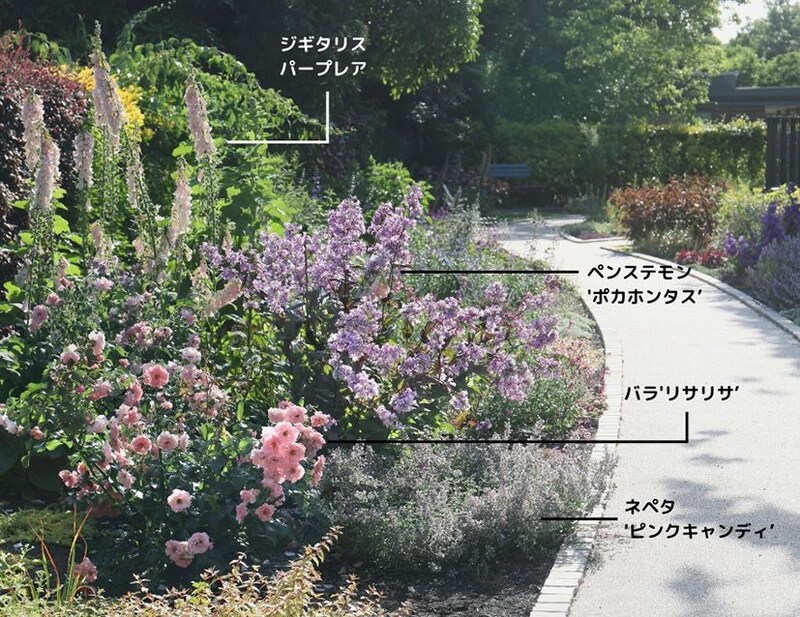花壇の植栽