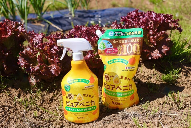 ピュアベニカ