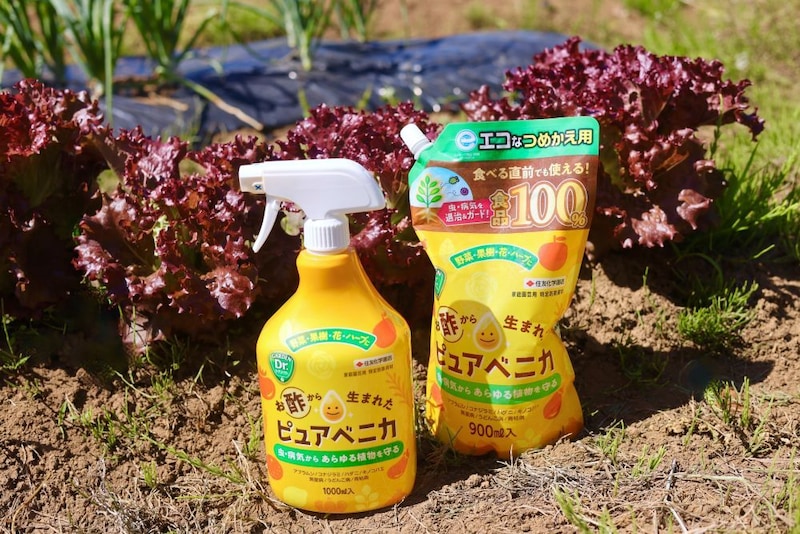 ピュアベニカ