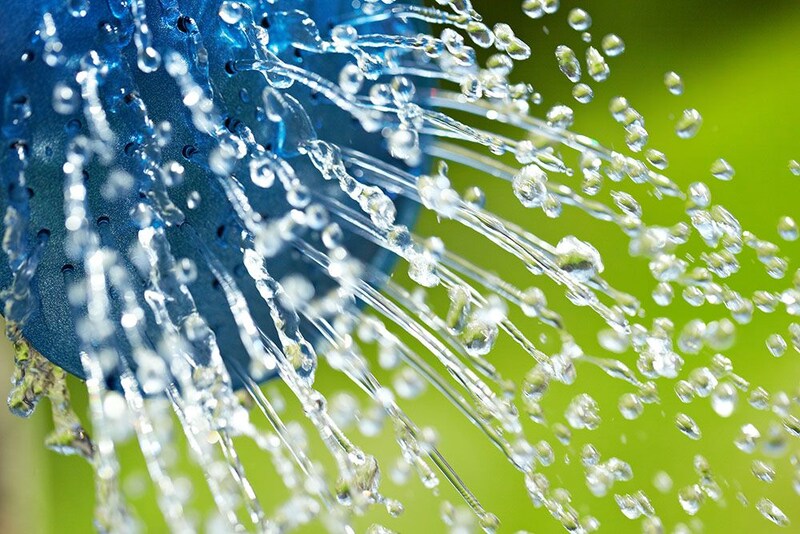 水やり