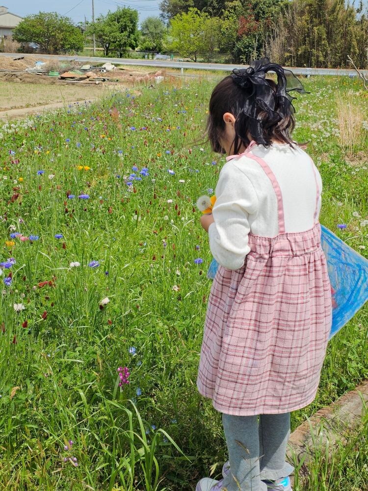花摘み